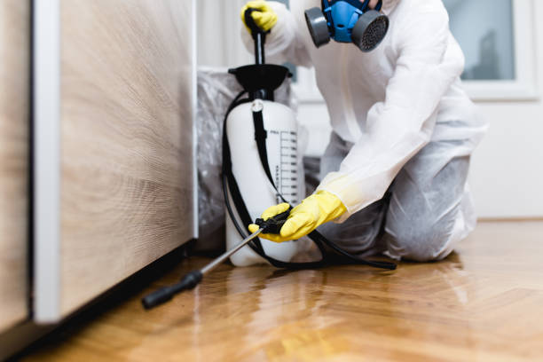 East Rancho Dominguez, CA Pest Control Company