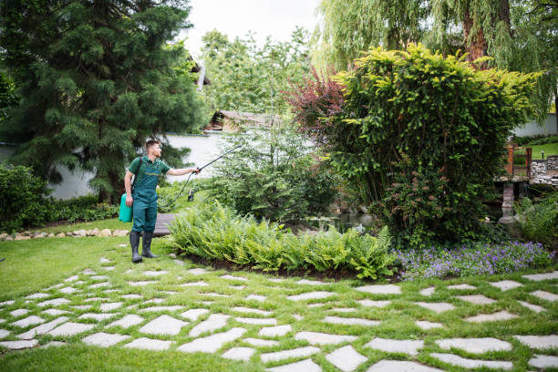 Best Wildlife Control Services  in East Rancho Dominguez, CA