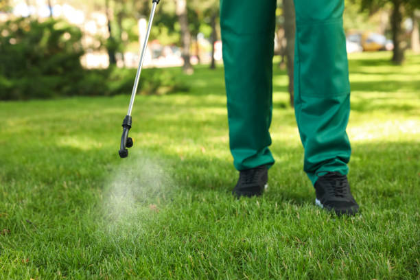 Best Termite Control Services  in East Rancho Dominguez, CA
