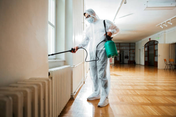 Best Affordable Pest Control Services  in East Rancho Dominguez, CA